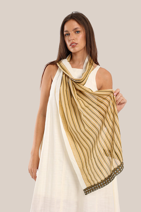Striped printed scarf with embroidery